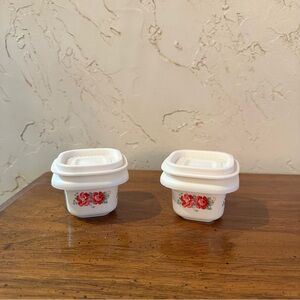 The Pioneer Woman Plastic Mini Food Storage Containers in Floral Rose set of 2
